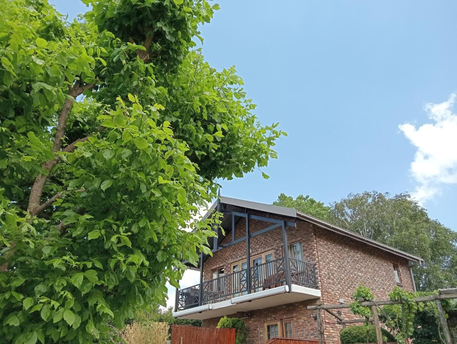 Fairview Cottages Clarens Bagian luar foto